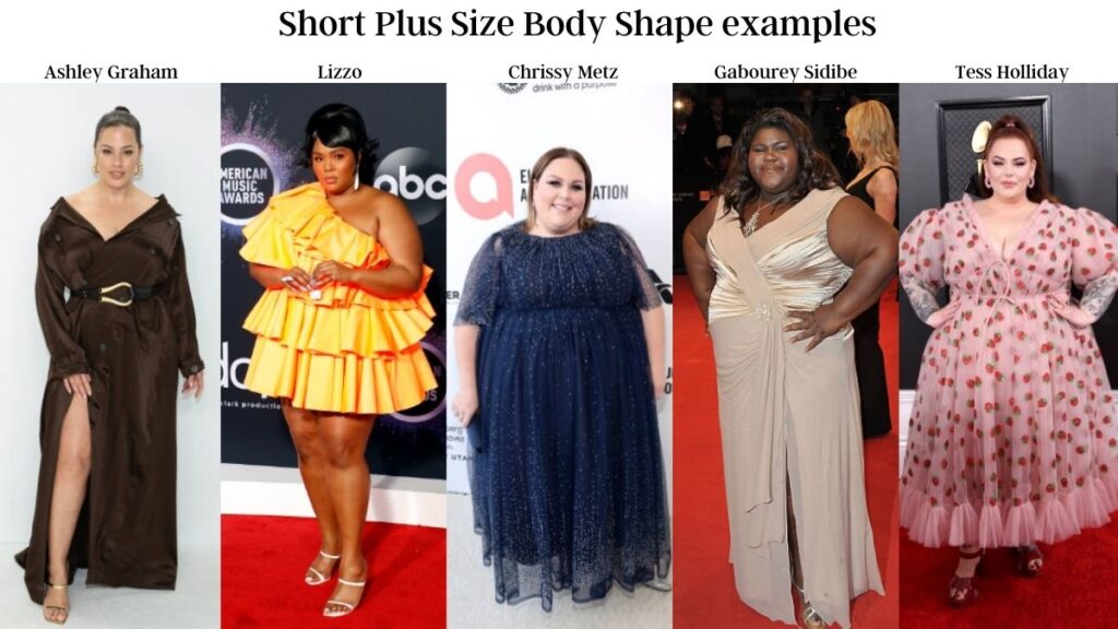 Best Types of Best Dresses for Short Plus Size Body Shape